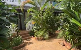 Siri Beach Lodge